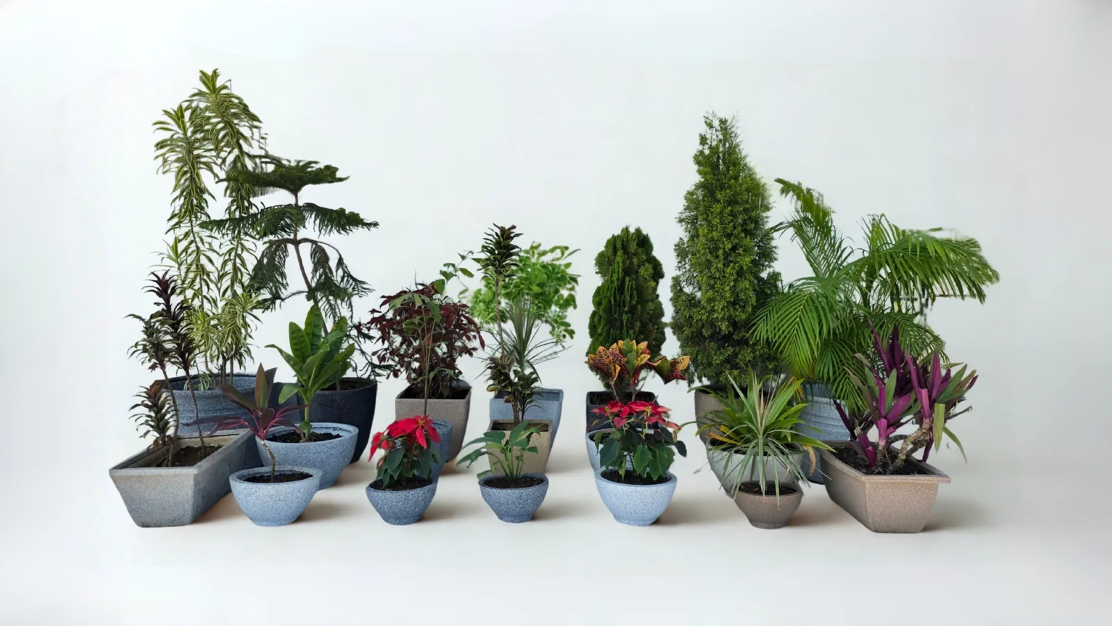 Vasos rotomoldados de diferentes formatos e texturas, com plantas